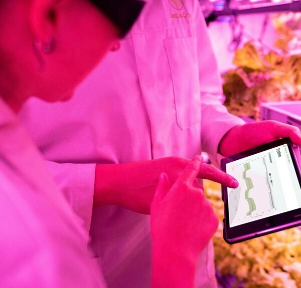 Maximize Your Growth 641710213 Digital Tools