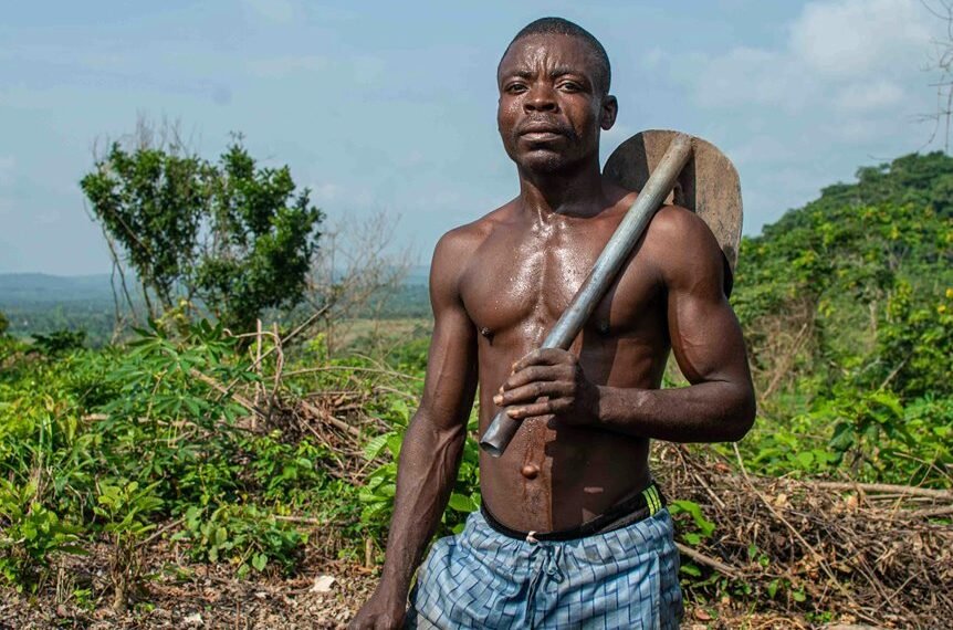 strengthen growth with tools